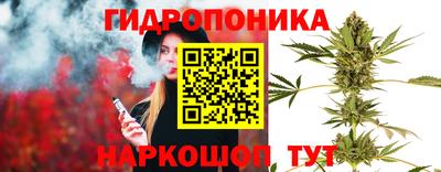 индика Кумертау