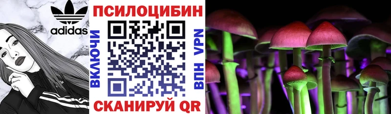 Галлюциногенные грибы MAGIC MUSHROOMS блэк спрут ТОР Крымск магазин наркотиков