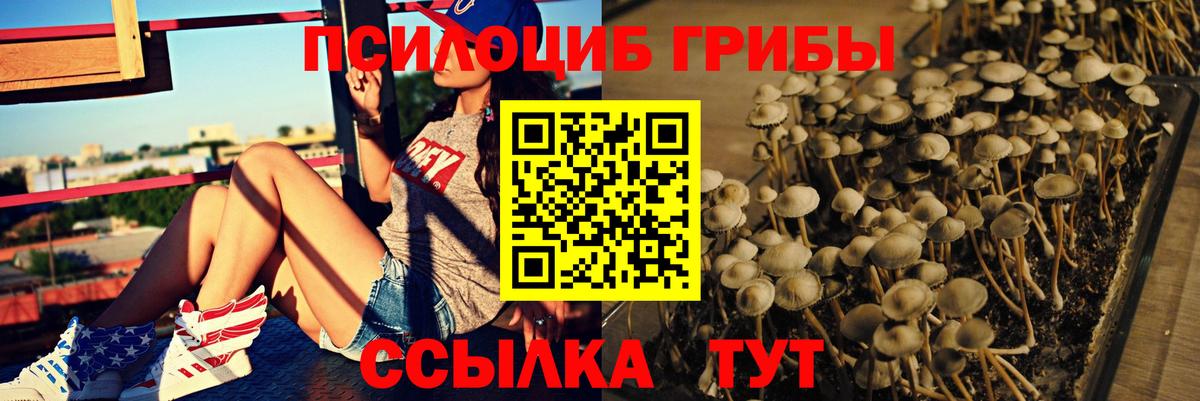 Галлюциногенные грибы мухоморы Крымск