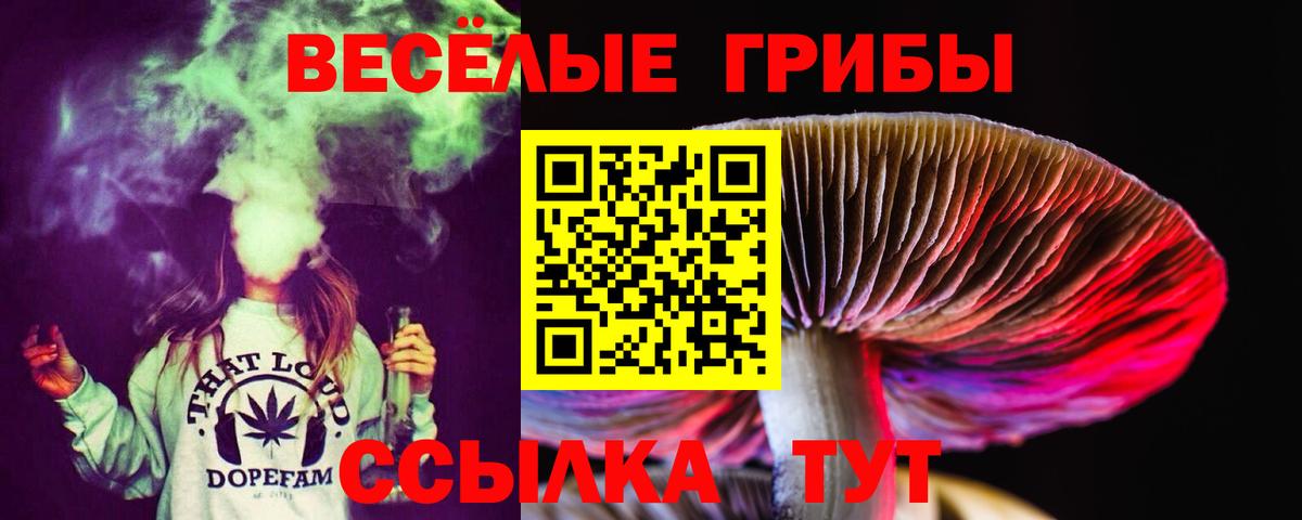 купить наркотик  Вход с VPN  Крымск  Псилоцибиновые грибы прущие грибы 